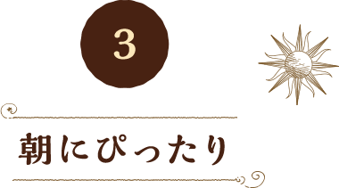 3 朝にぴったり