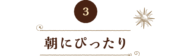 3 朝にぴったり