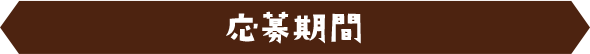 キャンペーン期間