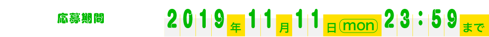 2019年11月11日(日)23:59まで